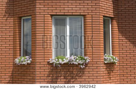 Windows