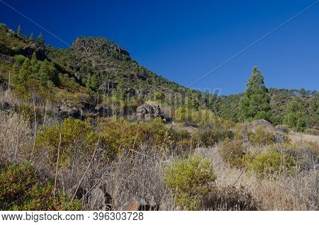 Los Hornos Mountain. Natural Reserve Of Inagua And The Nublo Rural Park. Aldea De San Nicolas De Tol