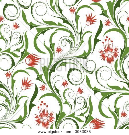 红色和橙色的花朵