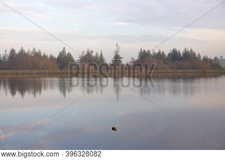 Shimmery Reflection Of Autumn Tree Tops From Behind A Dam Wall. Partially Submerged Metal Post Stick