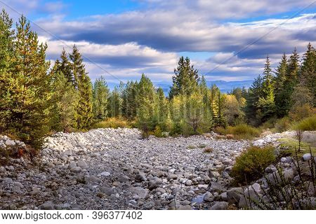 Autumn Scenery Panorama Background With Forest Colorful Trees, Stones And Rila Mountains