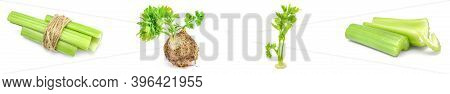 Collection Of Celeriac Isolated On A White Background