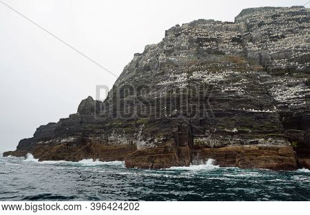 Little Skellig - World's Second Largest Gannet Colony