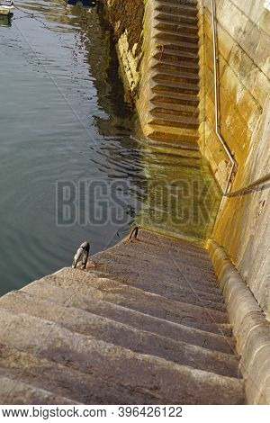 Stairs In The Harbor Of Donaghadee Northern Ireland