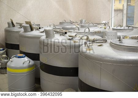 A Can Of Liquid Nitrogen Containing Straws For Fertilizing Cows.