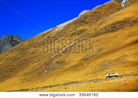 Alpine road i Cordiliera Huayhuash, Gennemlæsning, Sydamerika