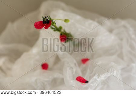 Flower In A Plastic Bag. The Concept Of Environmental Protection. World Environment Day, Recycling O