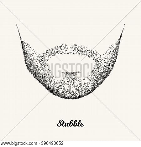Male Stubble. Simple Linear Illustration With Fashionable Men Hairstyle. Contour Vector Background W