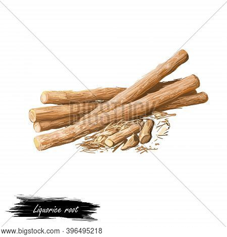 Liquorice Root Isolated Dried Sticks Isolated Digital Art Illustration. Licorice Glycyrrhiza Glabra,