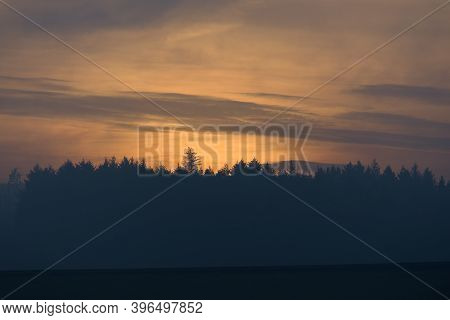 Amber Hazy Sky Background With Wispy Clouds. Forest Coniferous Tree Tops Are Silhouetted Against The