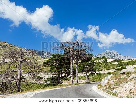 Estate Passo Llogara (albania)