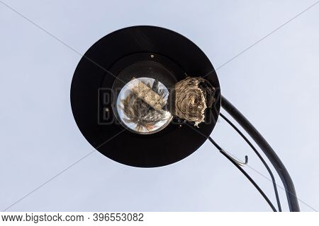 Black Beautiful Street Lighting Lantern Against The Blue Sky Background With An Old Orange Vespiary 