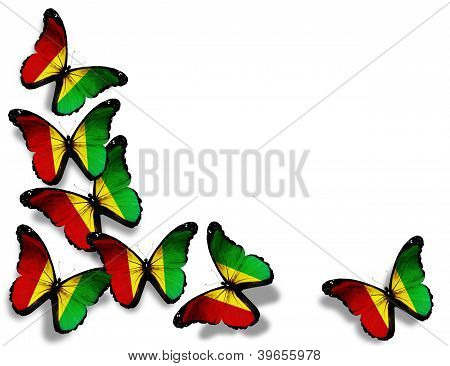Gineli bayrak kelebekler, beyaz zemin üzerine izole