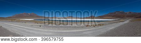 Clear Water, Yellow Grass And Pink Flamingos At Canapa Lake (laguna Cañapa), Bolivia