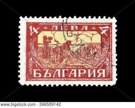 Bulgaria - Circa 1927 : Cancelled Postage Stamp Printed By Bulgaria, That Shows Harvesting, Circa 19