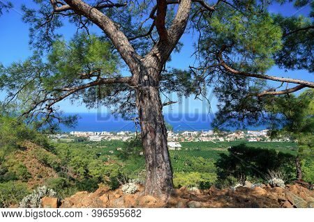 Aerial view of the town of Kemer and Mediterranean sea, as seen from Olympos Beydaglari National Park. Antalya province, Turkey.