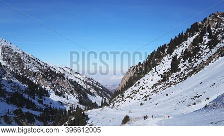 High Snowy Mountains, Spruce Trees Grow In Places. Huge Rocks And Cliffs, Gorges Where There May Be 