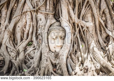 Buddha Head Statue With Trapped In Bodhi Tree Roots In Ayutthaya Historical Park In Thailand
