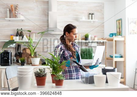 Holding Shovel For Gardening And Laptop In Kitchen Looking For Home Decoration. Decorative, Plants, 