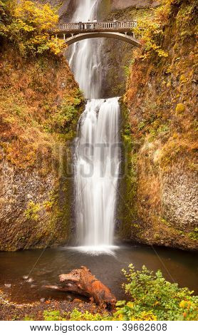 Multnomah Falls vattenfall Columbia River Gorge, Oregon Pacific Northwest