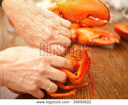 Mani di cracking e taglio un astice cotto in un ristorante