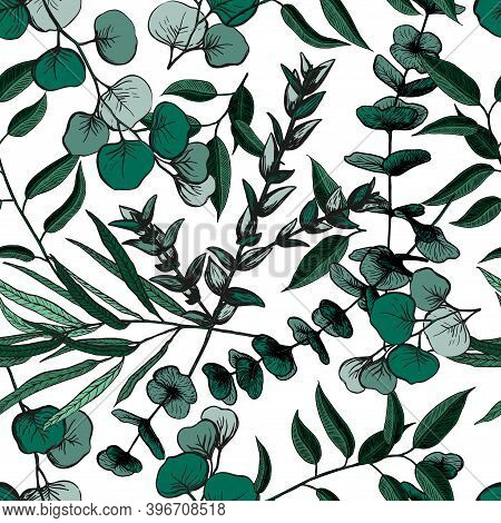 Seamless Pattern With Eucalyptus. Hand Painted Flower Ornament With Silver Dollar, Willow And Baby E