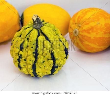 Little Pumpkins