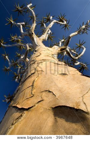 ยิงในมุมมองของแผนภูมิ Quiver