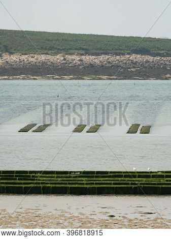 Oyster Farming In Aber Benoit In Brittany (france), Cloudy Day In Summer