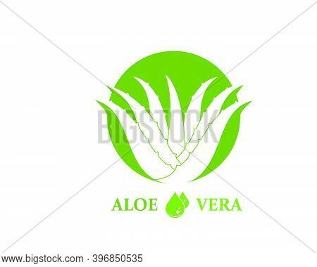 Aloevera Logo Icon Vector Illustration Design