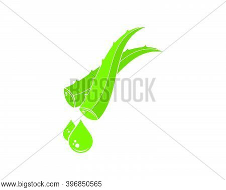 Aloevera Logo Icon Vector Illustration Design