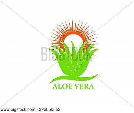 Aloevera Logo Icon Vector Illustration Design