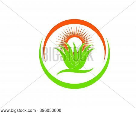 Aloevera Logo Icon Vector Illustration Design