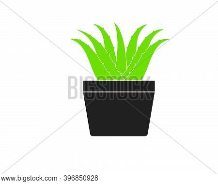 Aloevera Logo Icon Vector Illustration Design
