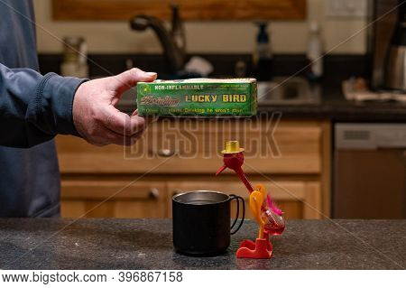 Rush City, Minnesota - November 26, 2020: Male Hand Holds Up The Packaging For A Lucky Bird Drinking