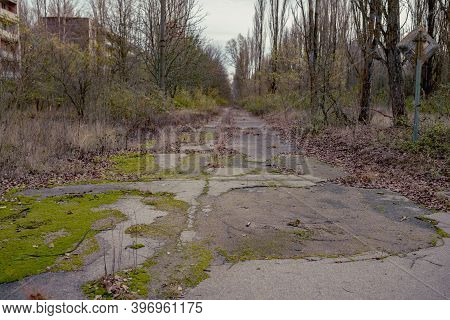 Abandoned Ghost Town Prypiat. Overgrown Trees And Collapsing Buildings In Pripyat, Chornobyl Exclusi