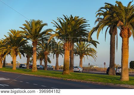 Morro Jable, Fuerteventura, Spain: 2020 October 08: Park In The Time Of Covid 19 Morro Jable On The 