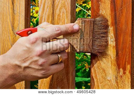 Painting a Wooden Fence