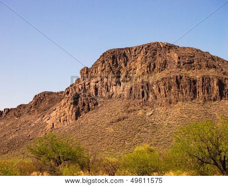 Sonoran Desert Landscape
