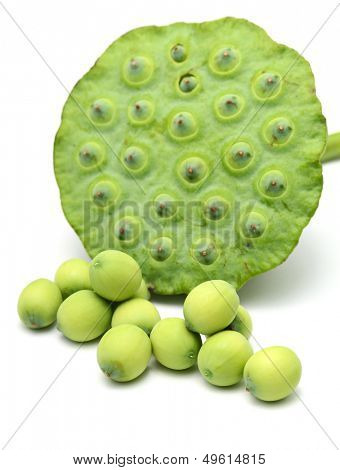 Freshness Lotus seed and pod