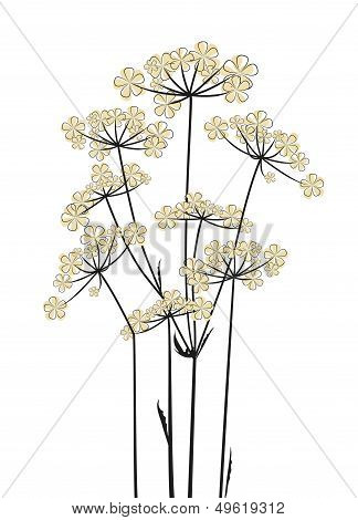 Meadow Flowers