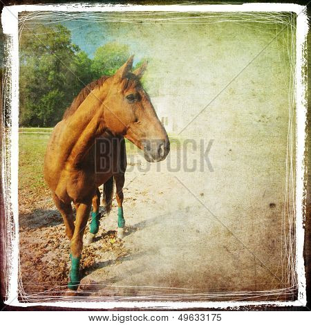 vintage style background with artistic border