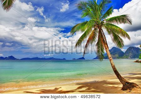 tropical beach scenery