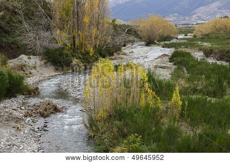 Stream