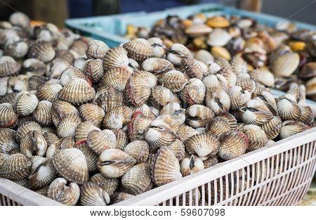Ark Shell And Sea Mussle In Baskets
