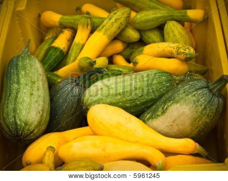 grünen und gelben Markt squash