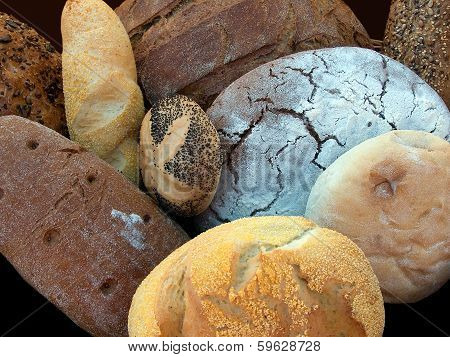 Bread