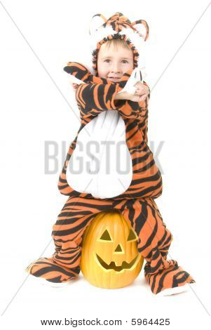 Peuter In Tiger kostuum Over pompoen