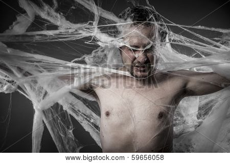 network.man tangled in huge white spider web