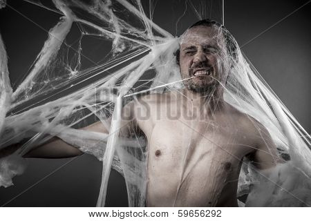 network. man tangled in huge white spider web